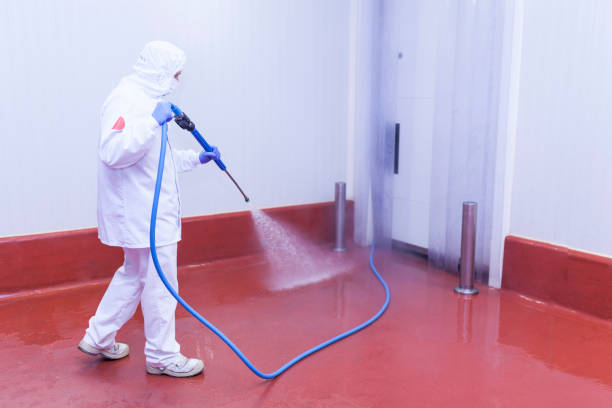 Best Roof Washing  in Bay Shore, NY